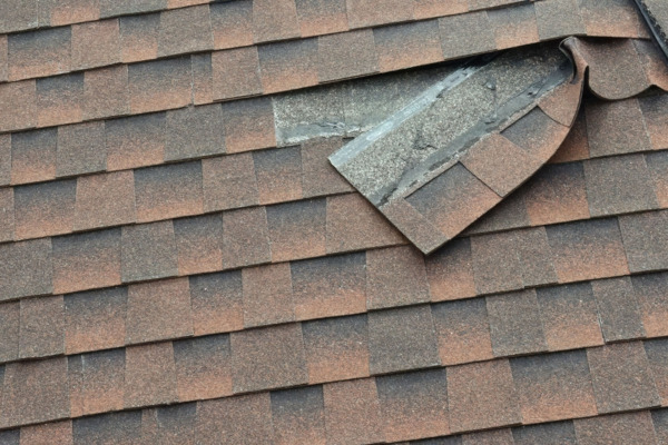 Torn and Bent Roof Shingle - Closeup